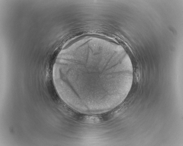 X0000115510520200912181448