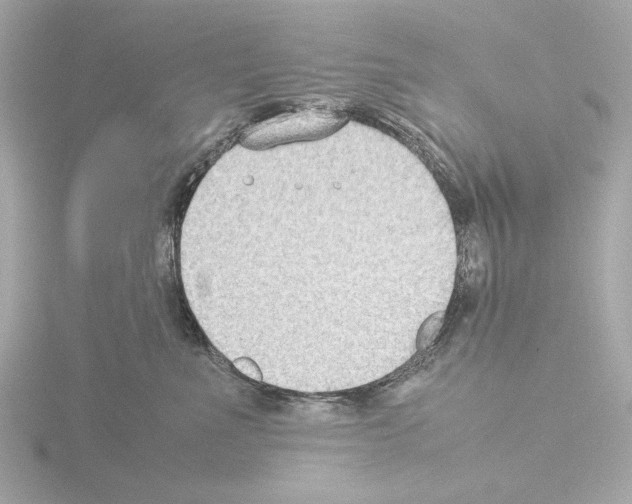 X0000115510523200912181448