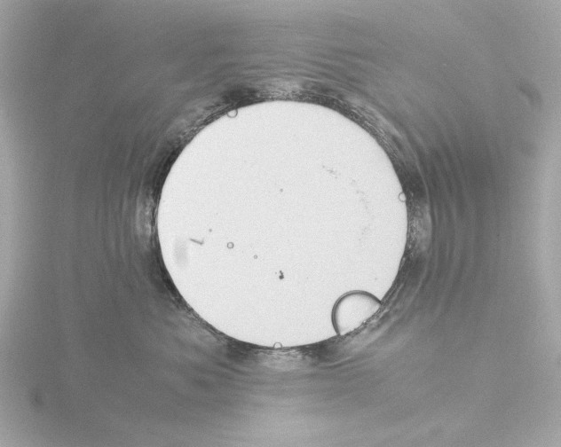 X0000115510525200912181448