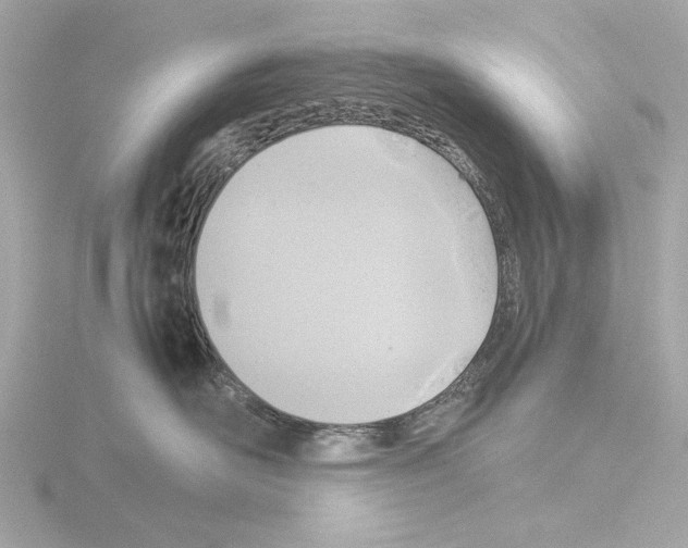 X0000115510526200912181448