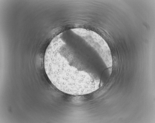 X0000115510527200912181447