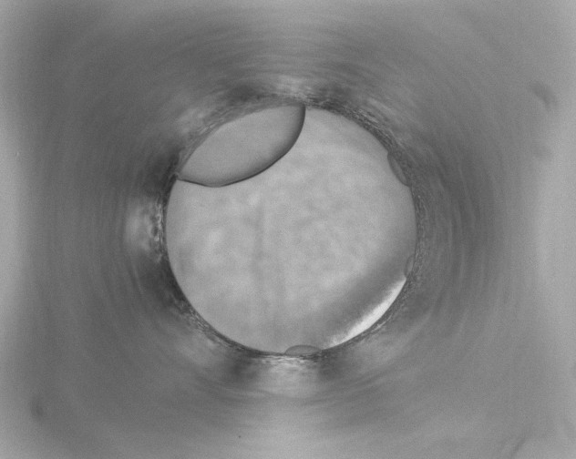 X0000115510528200912181447