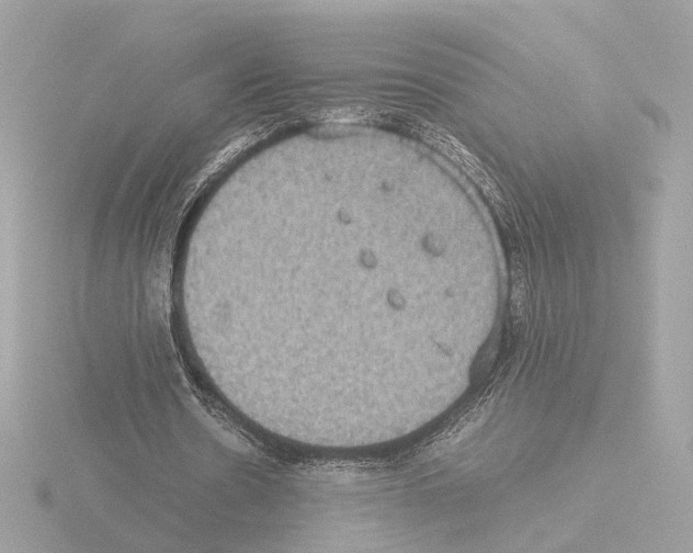 X0000115510530200912181447