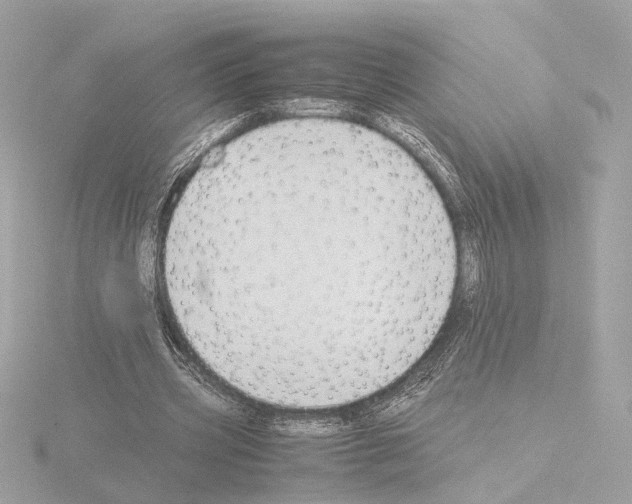 X0000115510533200912181447