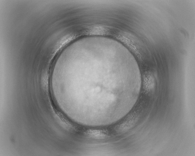 X0000115510534200912181447