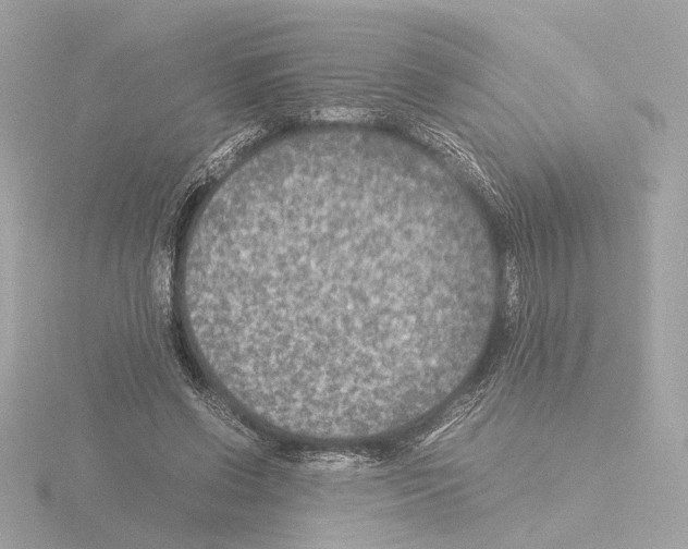 X0000115510542200912181447