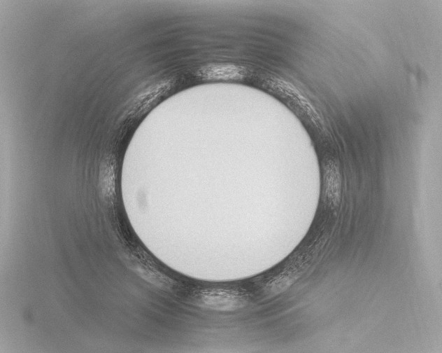 X0000115510549200912181447