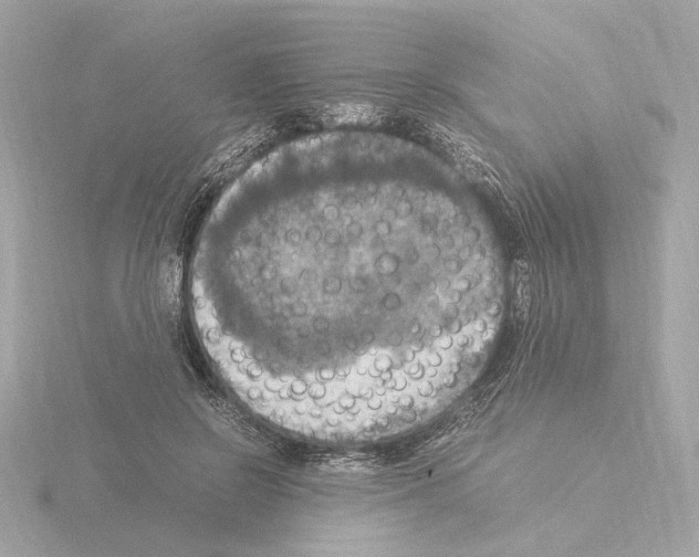 X0000115510550200912181447