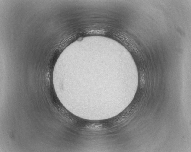 X0000115510551200912181447