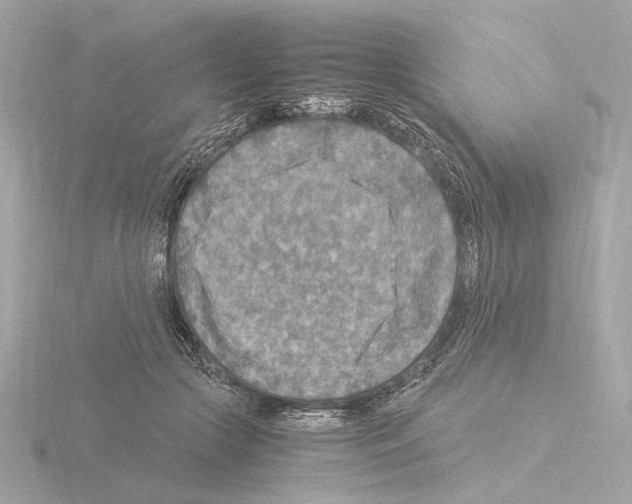 X0000115510553200912181447