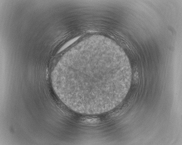 X0000115510555200912181447