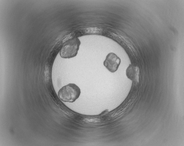 X0000115510557200912181447