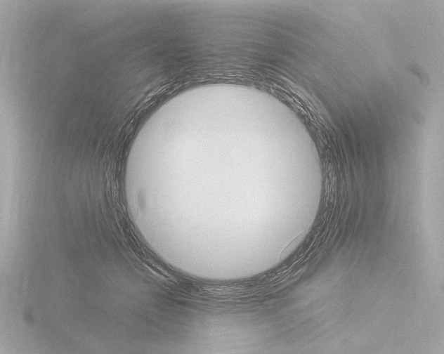 X0000115510558200912181447