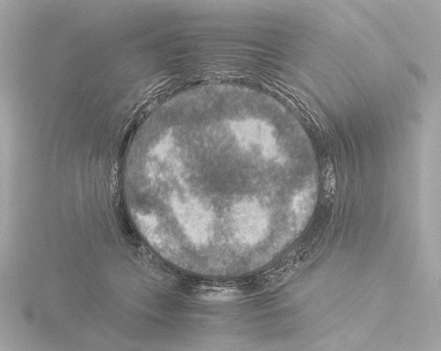 X0000115510559200912181447