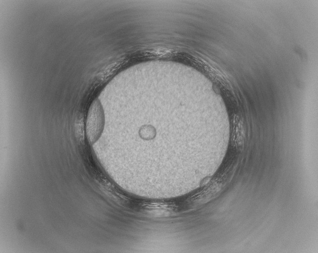 X0000115510562200912181447