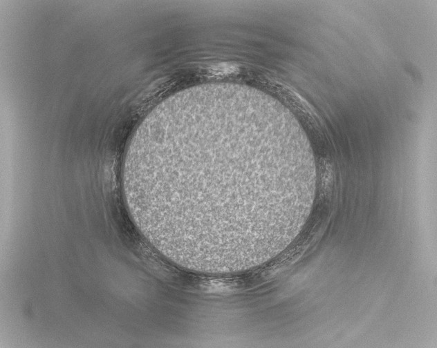 X0000115510565200912181447