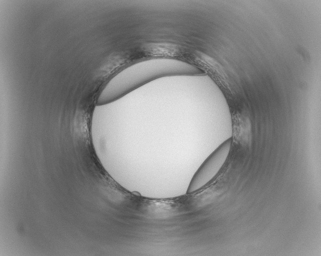 X0000115510573200912181447