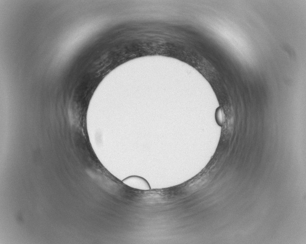 X0000115510574200912181447