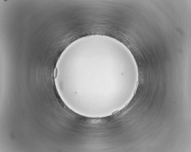 X0000115510575200912181447