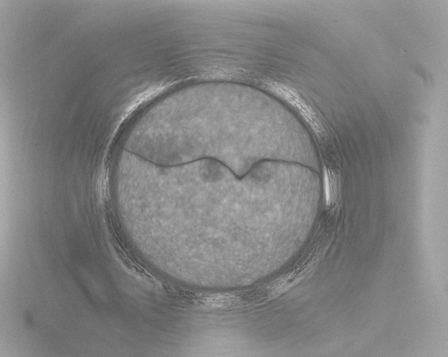 X0000115510579200912181447