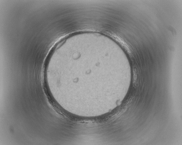 X0000115510580200912181447