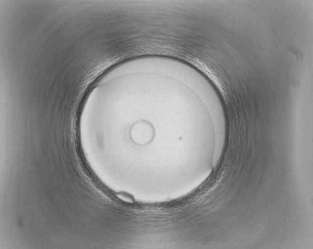 X0000115510581200912181447