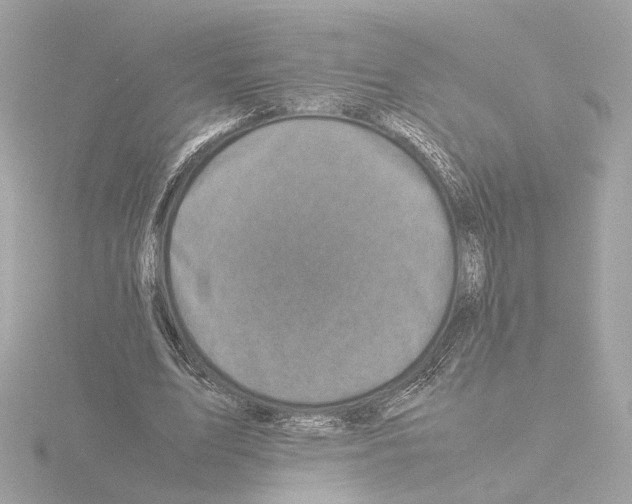 X0000115510583200912181447