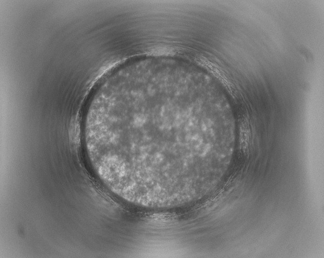 X0000115510584200912181447