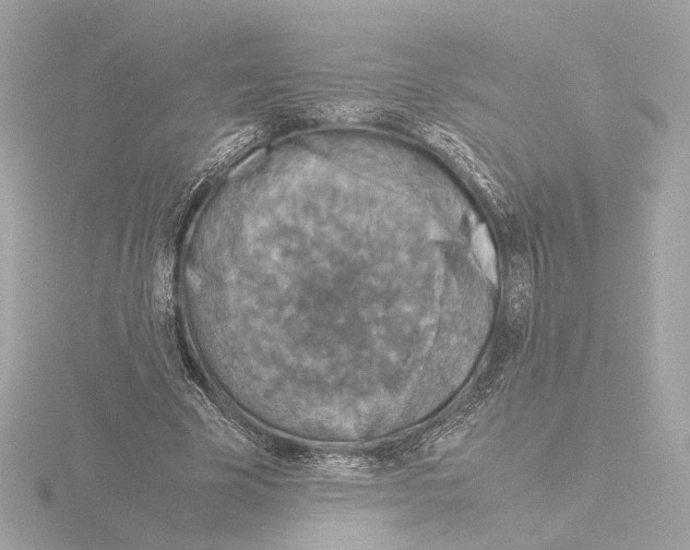 X0000115510585200912181447