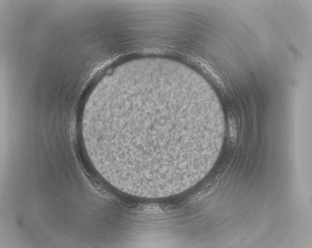 X0000115510588200912181447