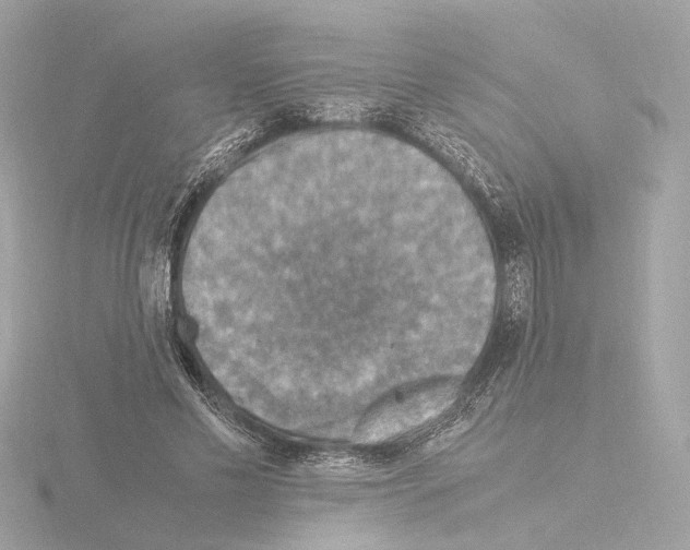 X0000115510589200912181447