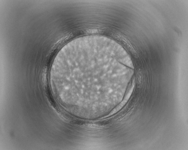 X0000115510590200912181447