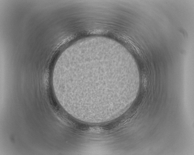 X0000115510591200912181447