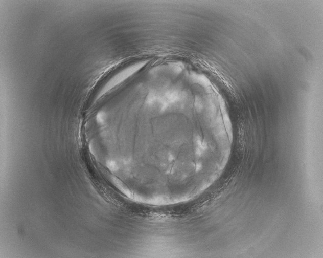 X0000115510592200912181447