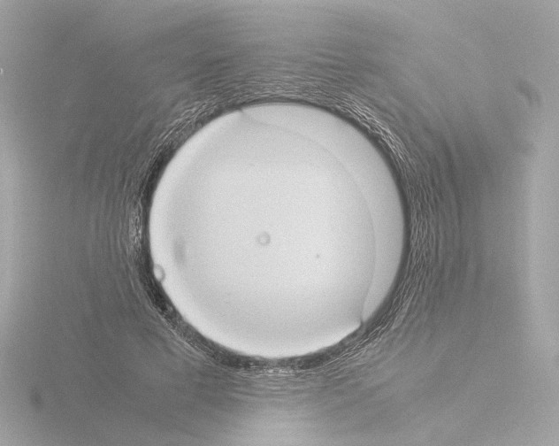 X0000115510593200912181447