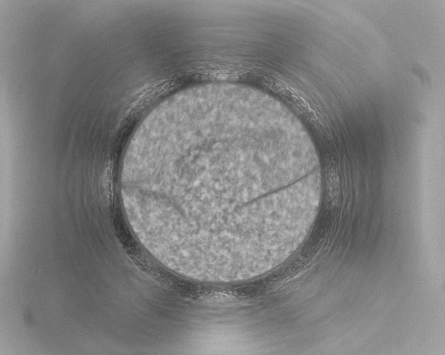 X0000115510594200912181447