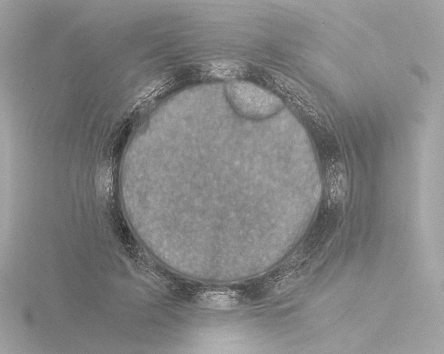 X0000115510595200912181447