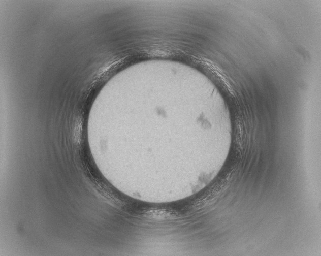 X0000115510596200912181447