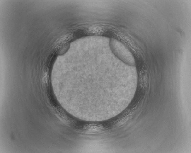 X0000115510597200912181447