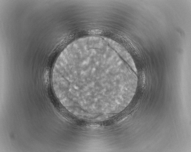 X0000115510598200912181447