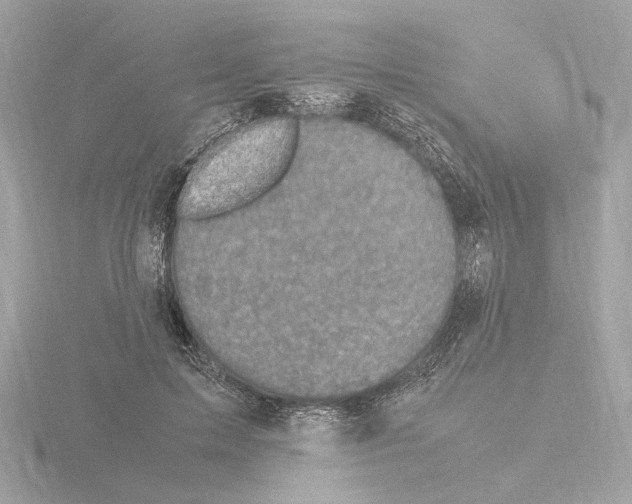 X0000115510599200912181447