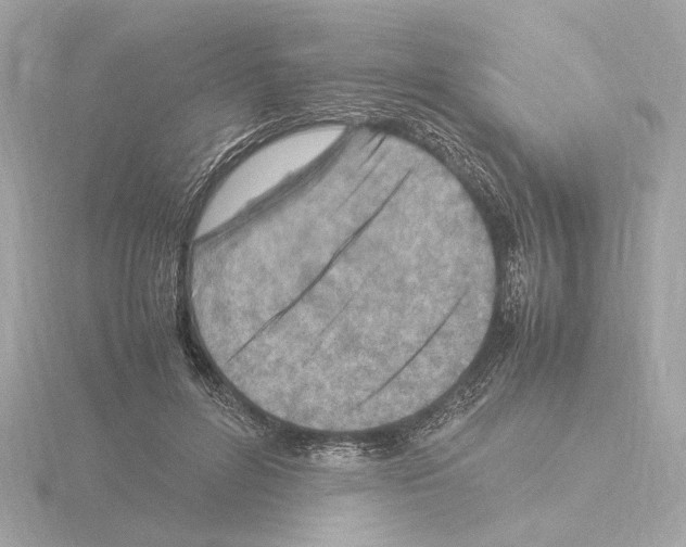 X0000115510600200912181447