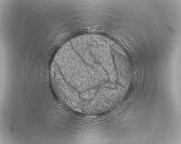 X0000115510609200912181446