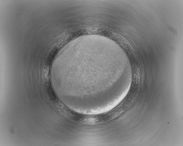 X0000115510610200912181446