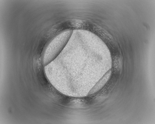 X0000115510611200912181446