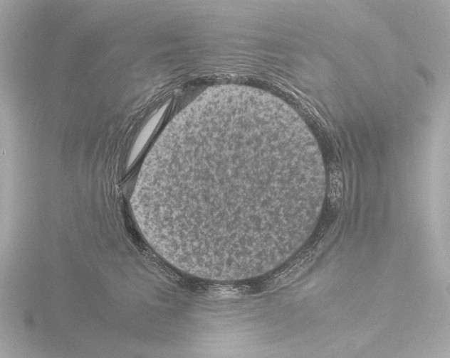 X0000115510613200912181446