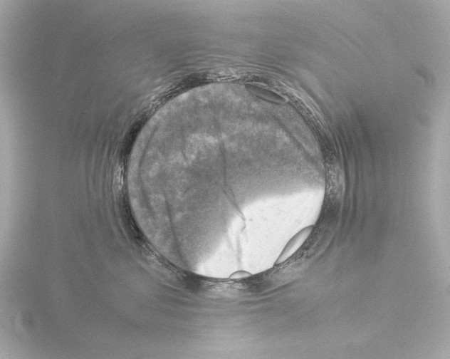 X0000115510621200912181446