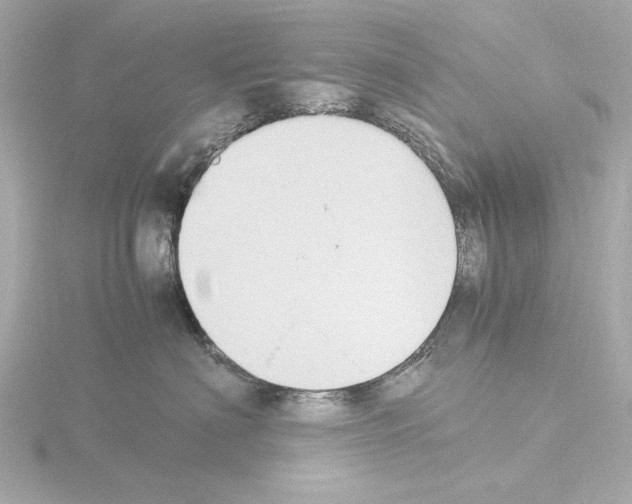 X0000115510622200912181446