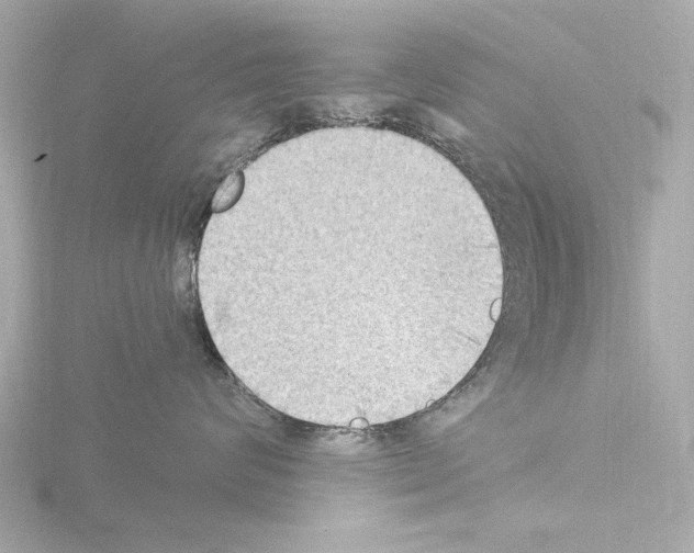 X0000115510624200912181446