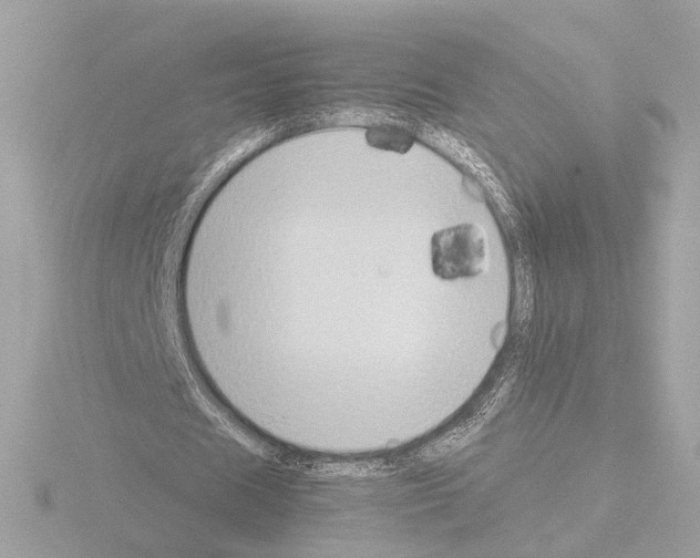 X0000115510625200912181446